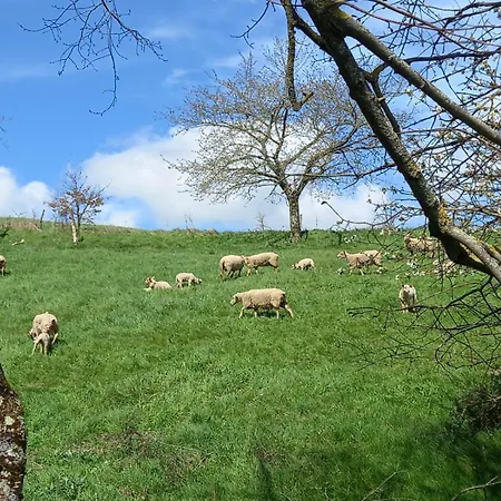 Penzion La Bergerie De Lavernhe Connac