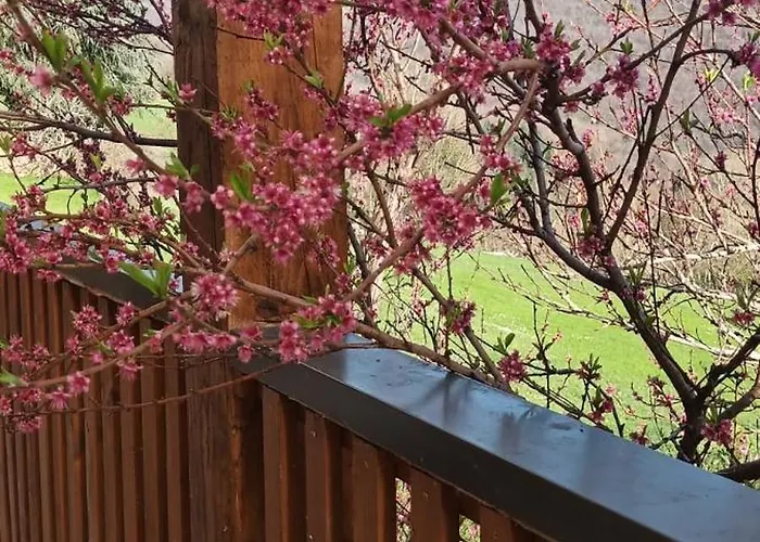 La Bergerie De Lavernhe Gasthof Connac