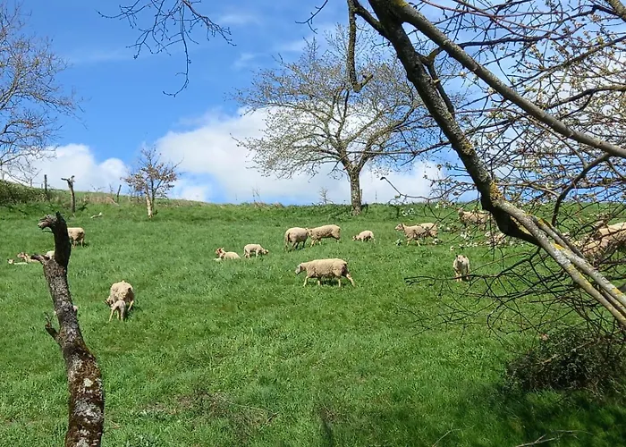 Gasthof La Bergerie De Lavernhe Connac