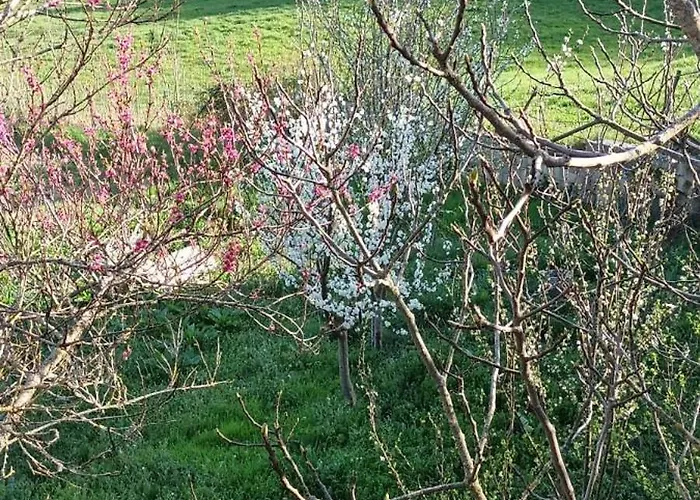 Gasthof La Bergerie De Lavernhe 4*